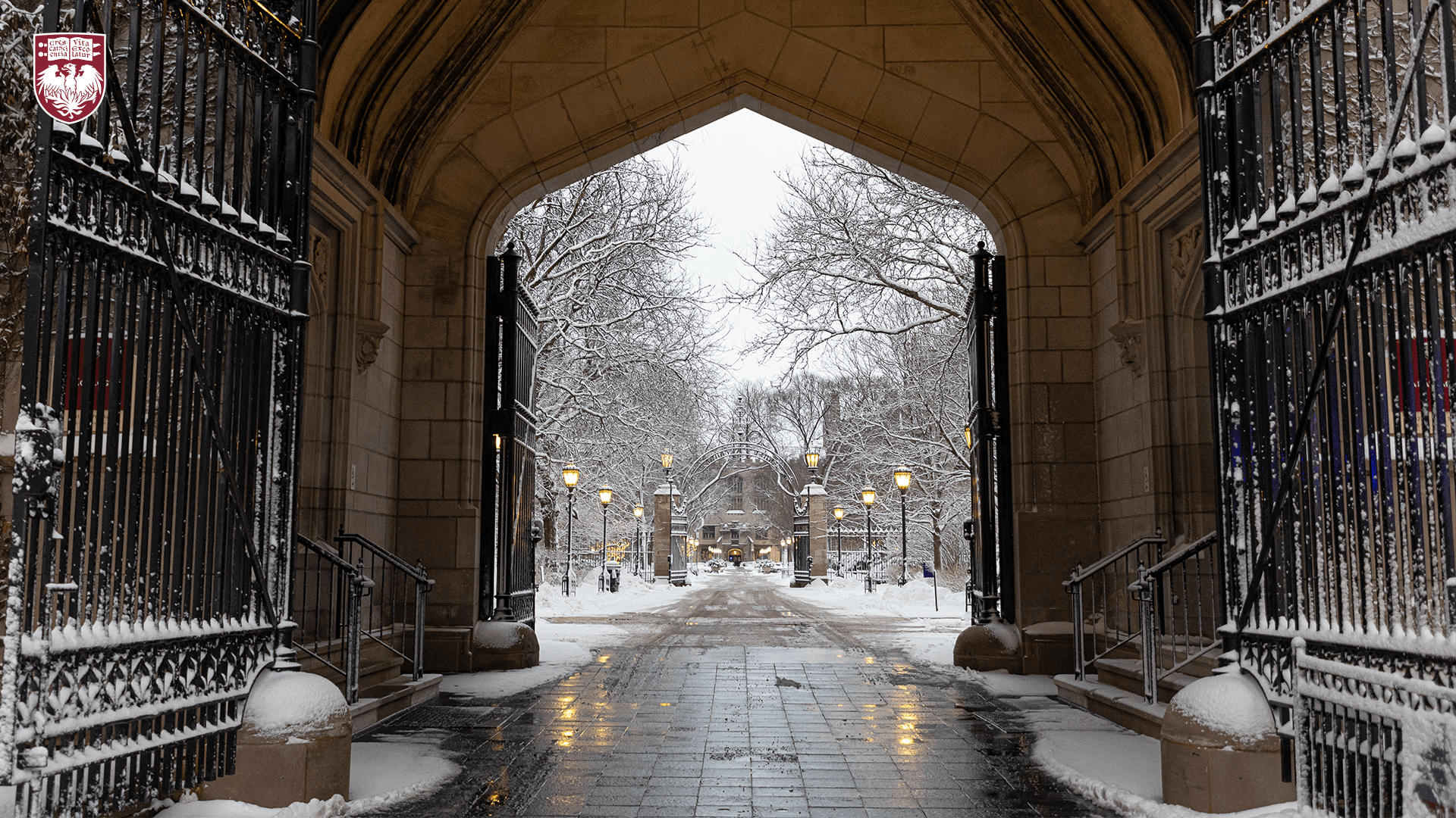 Looking through an open gate and building arch onto snowy walkway, trees, and glowing street lamps