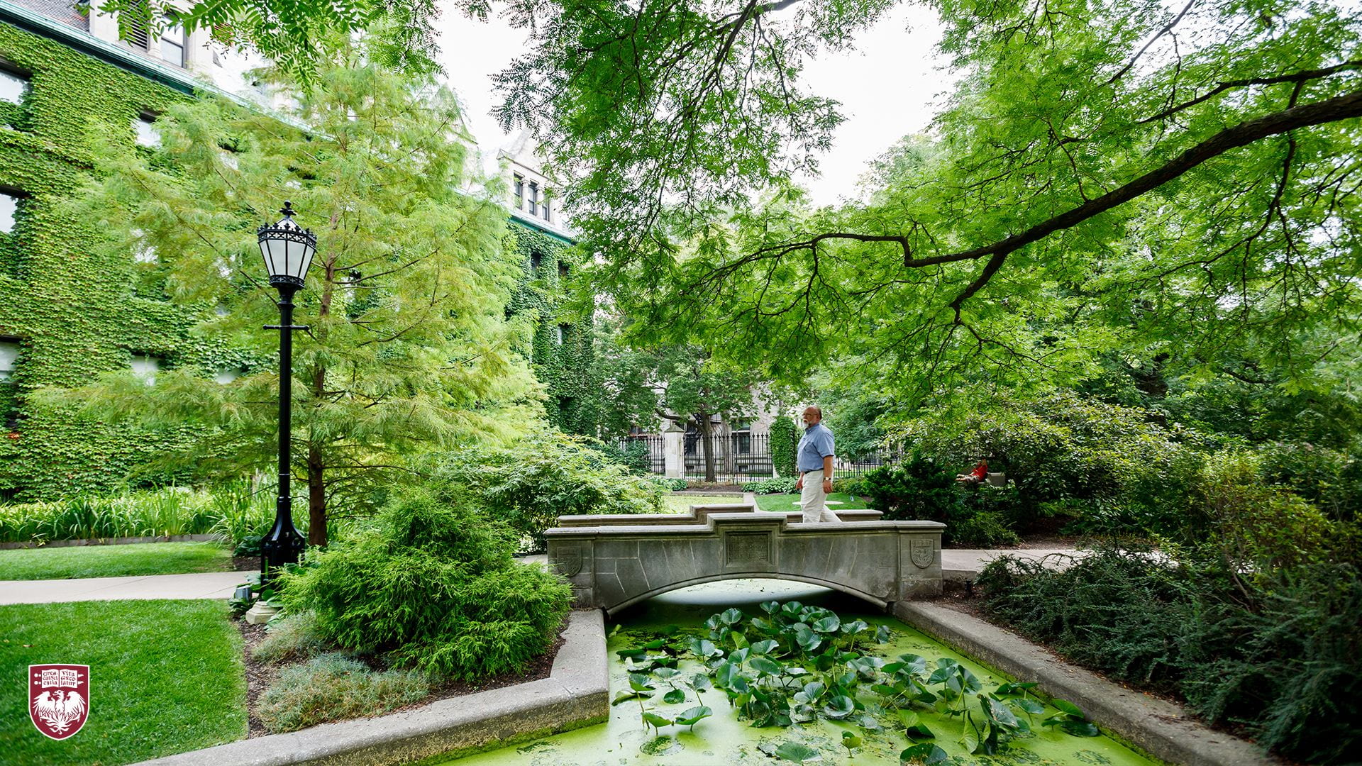 Person crossing the stone bridge over Botany Pond surrounded by green trees