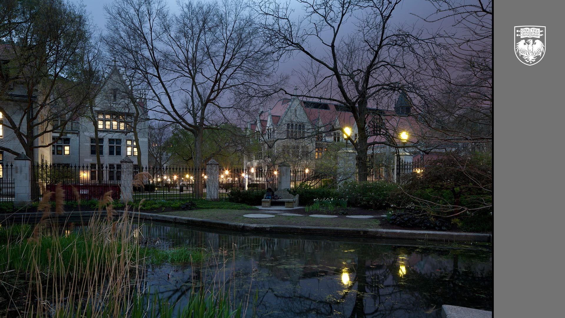Pond in the evening with view of campus buildings and street lights on
