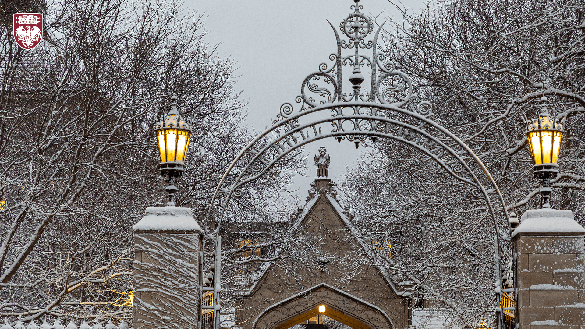 Snow covering iron gate arch and trees with glowing lamps on either side of the gate