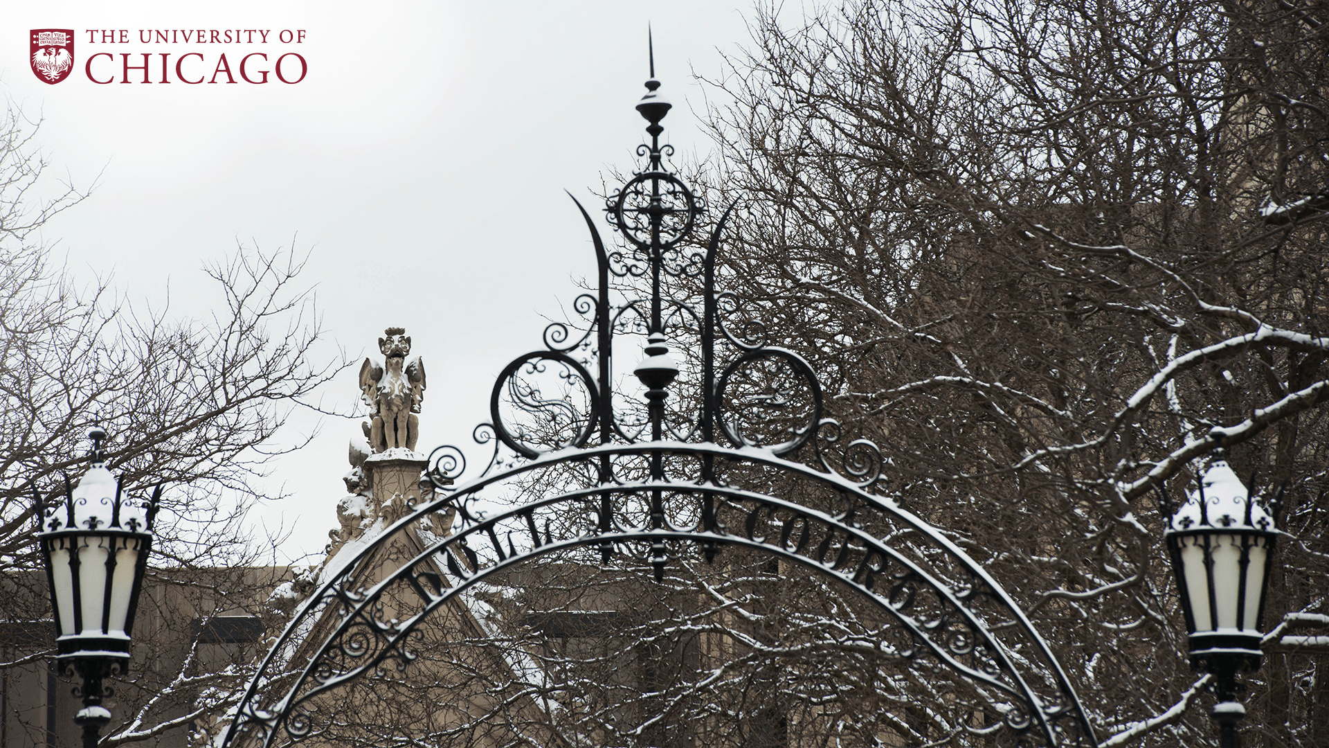 Snow on top of arched Hull Court iron gate