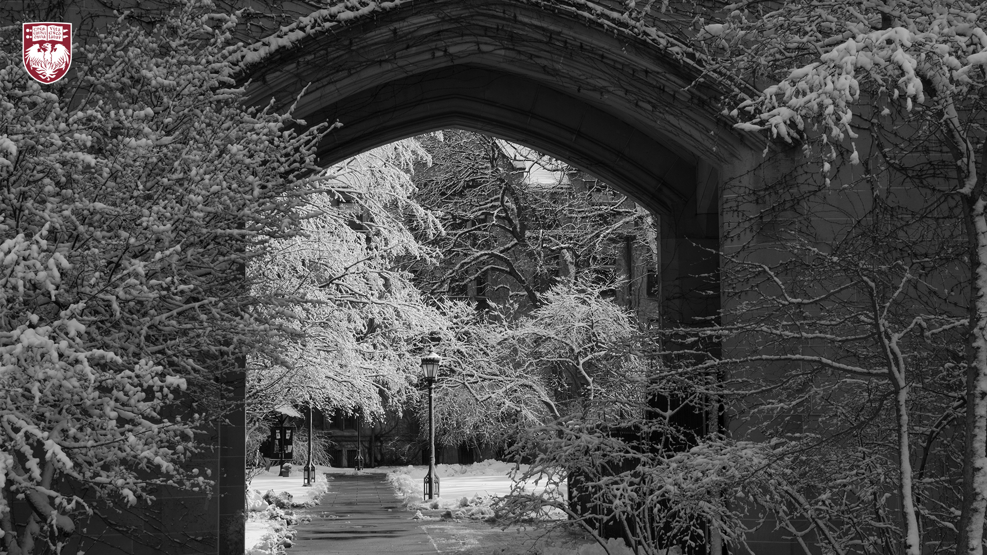View through a stone arch to snow covered branches