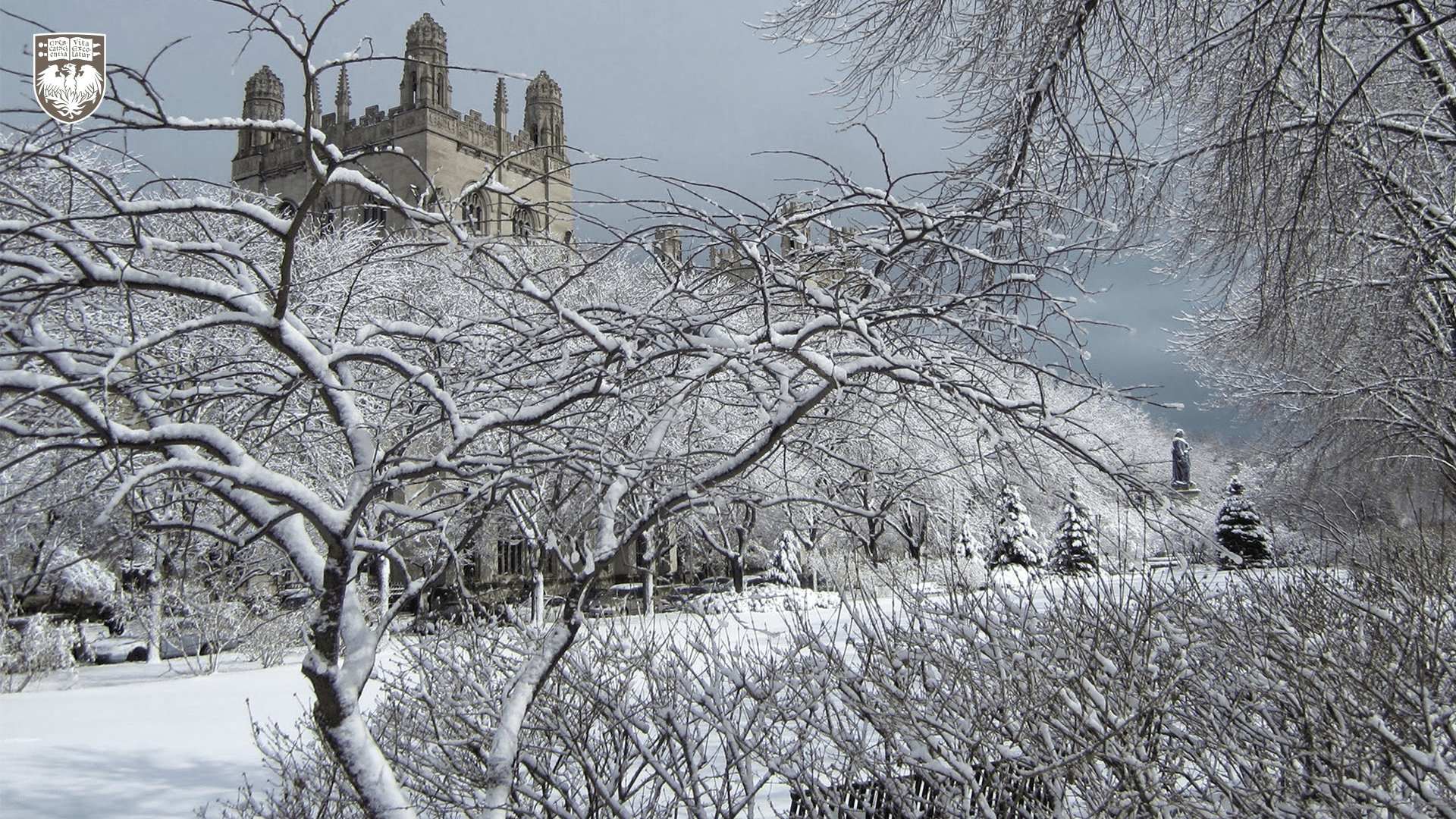 Snow covering tree branches with Gothic architecture in the background