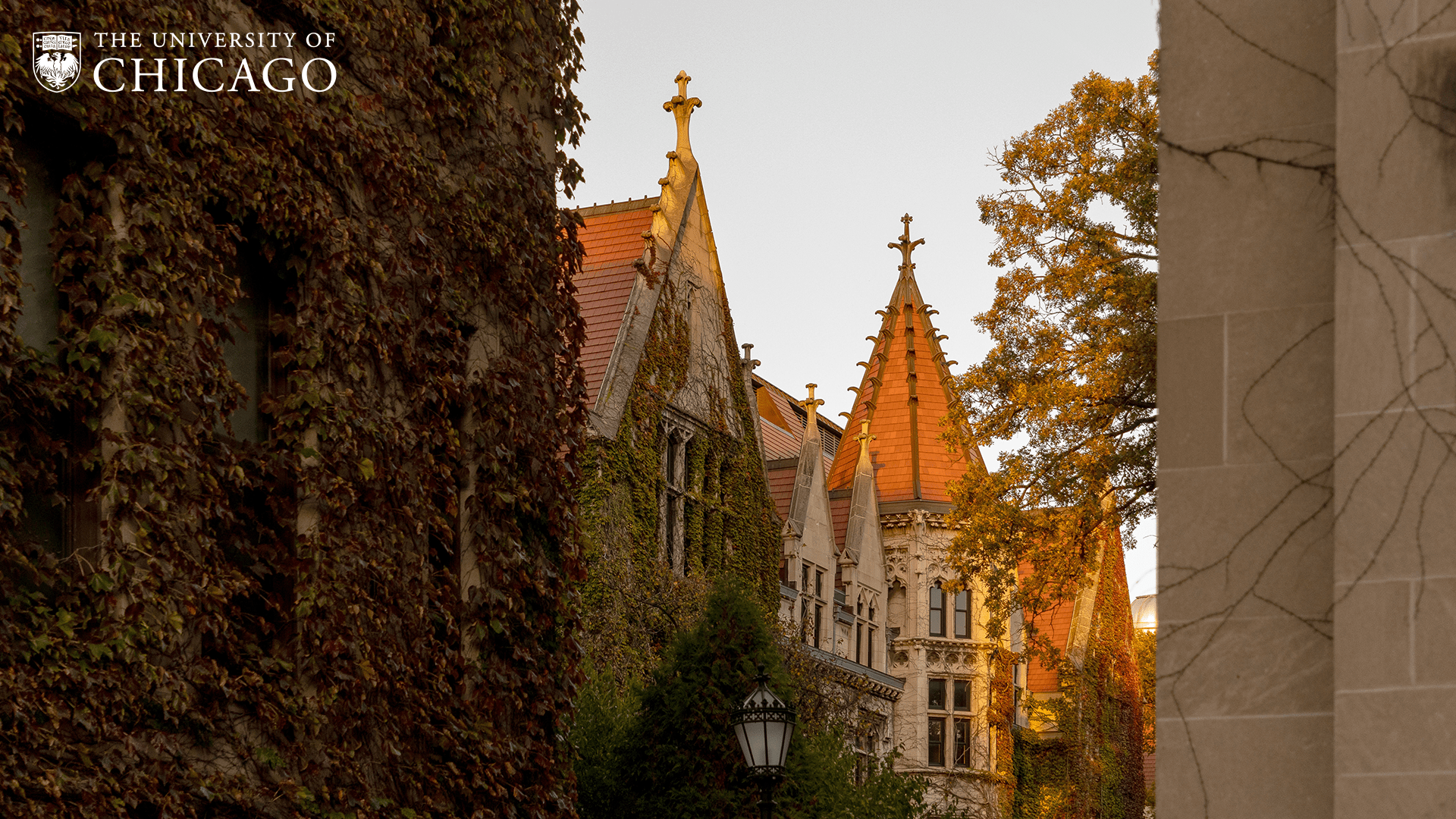View of terracotta tower spires in the evening sun