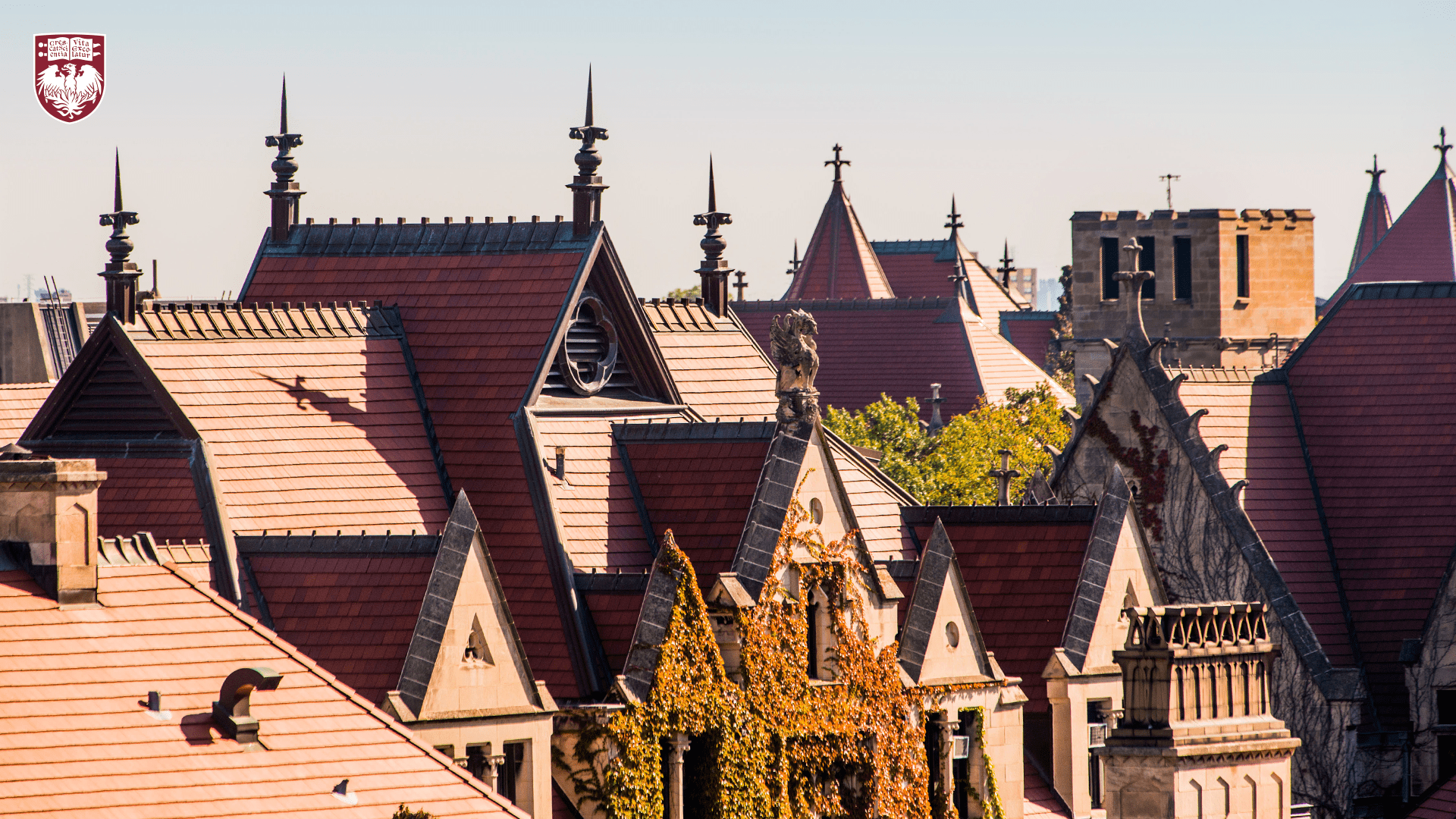 Gothic terracotta rooftops on a sunny day