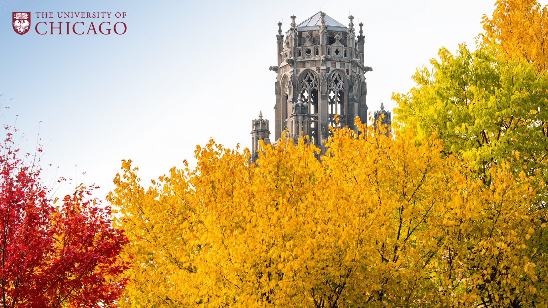 Gothic tower in background obscured by trees with bright yellow and red leaves