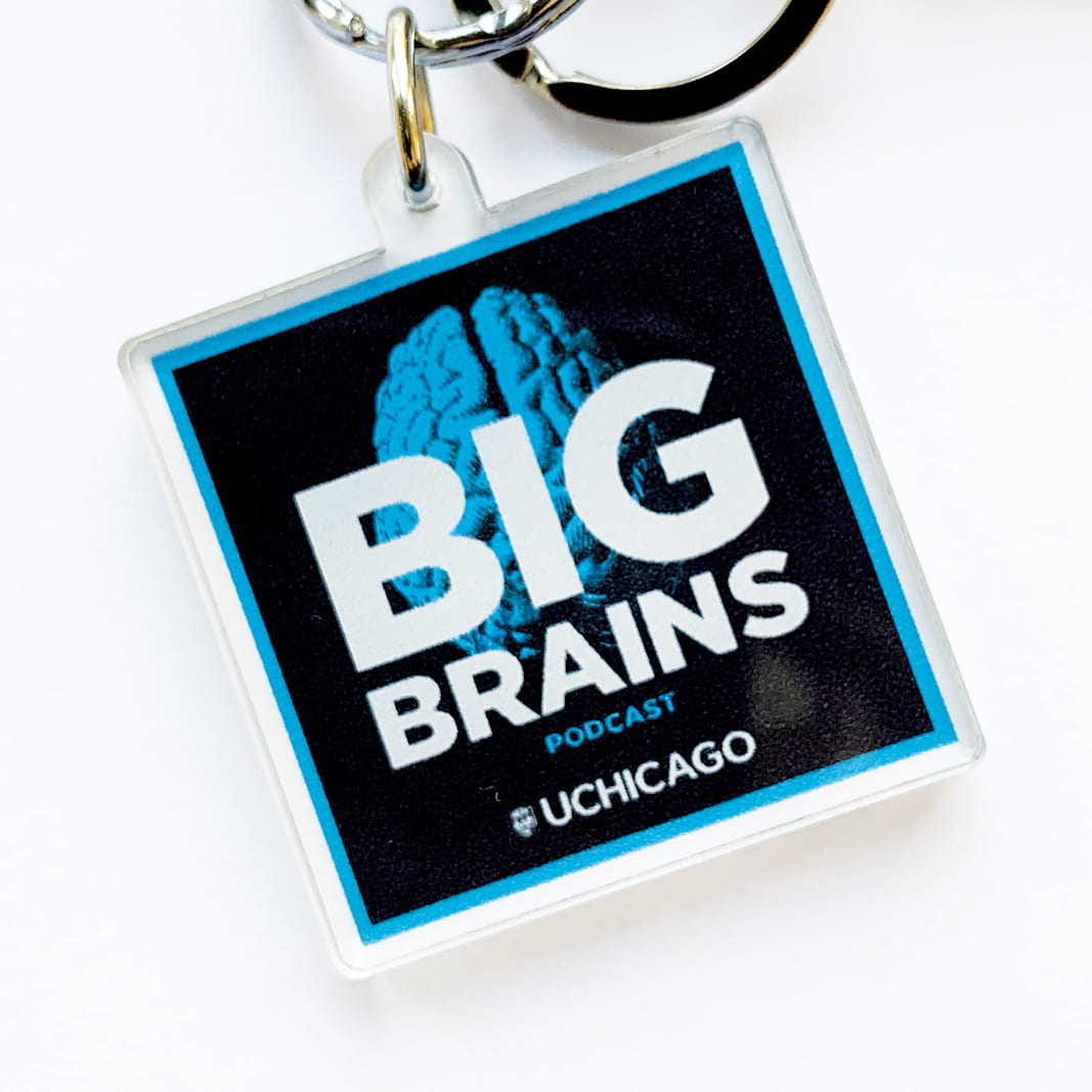 Big Brains Rebrand Uchicago Creative
