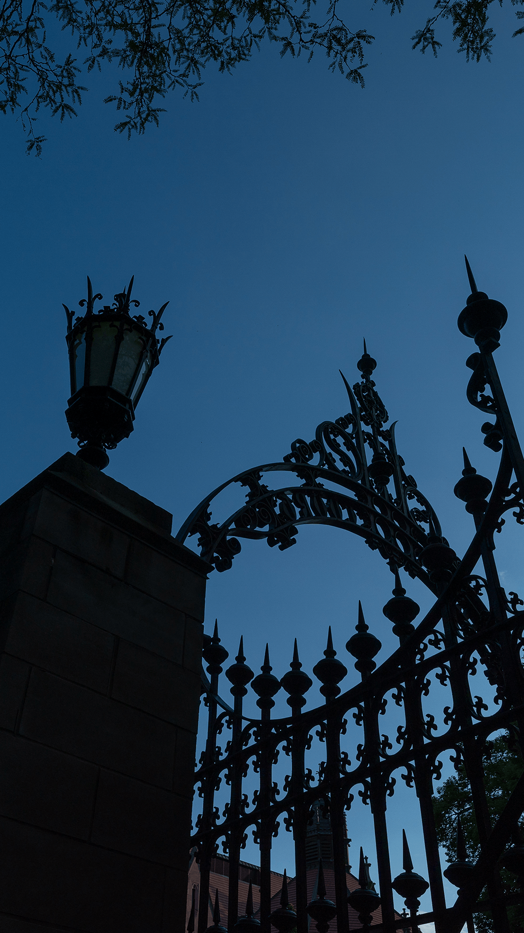 Black iron gate and lightpost silhouetted against a dark blue sky