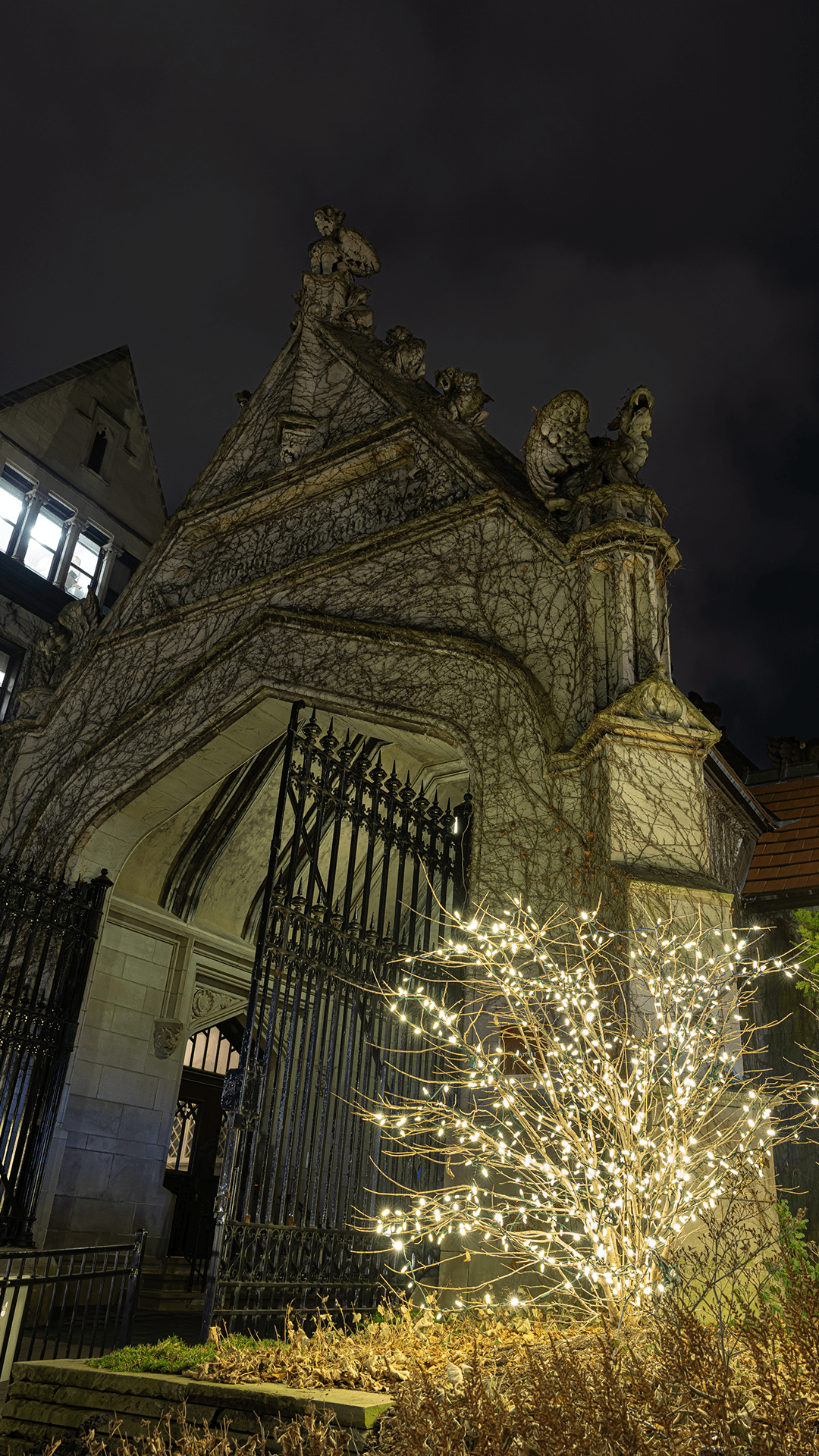 Gothic arch at night with white holiday lights.