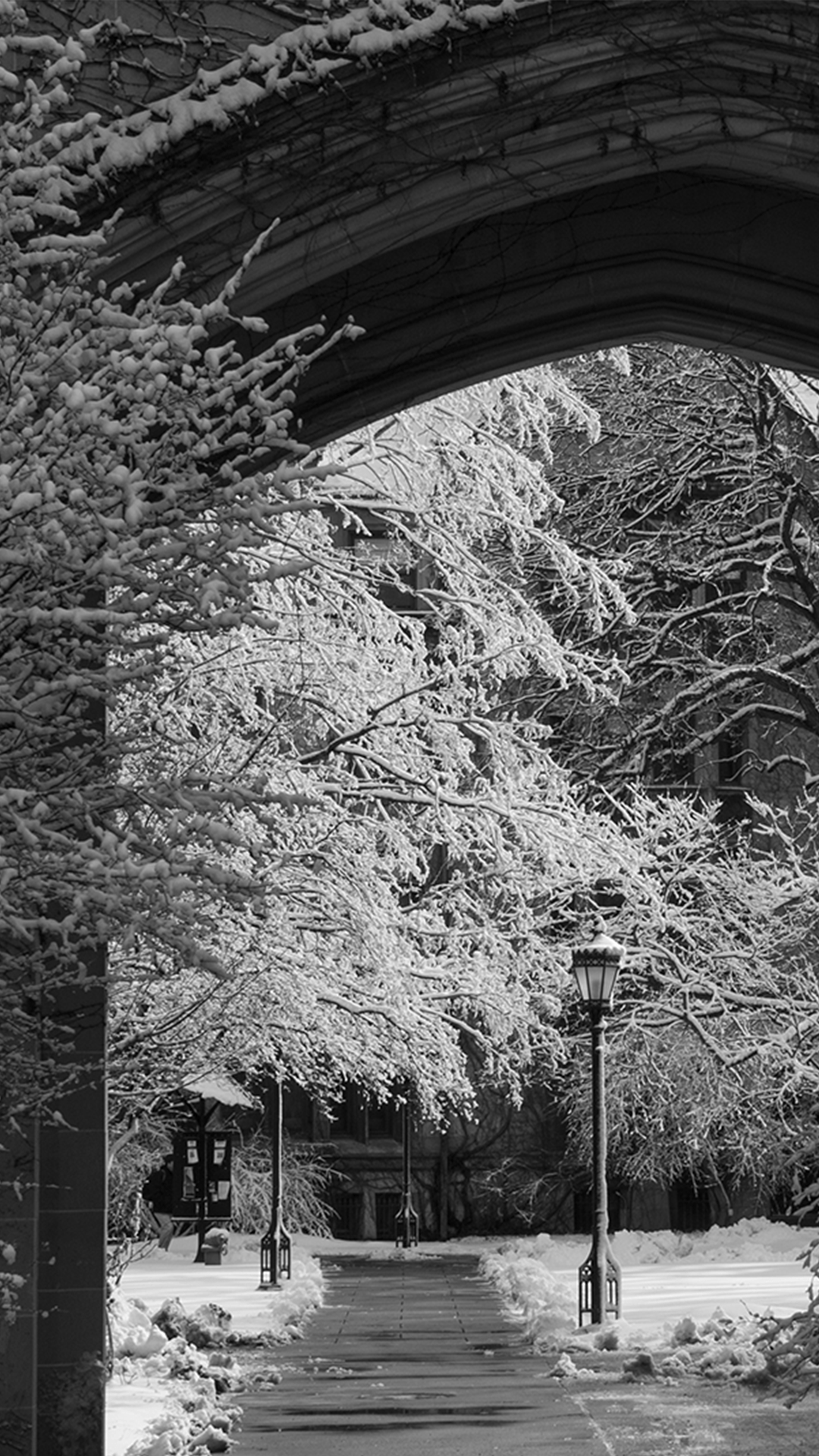 Snowy trees viewed through a stone arch.