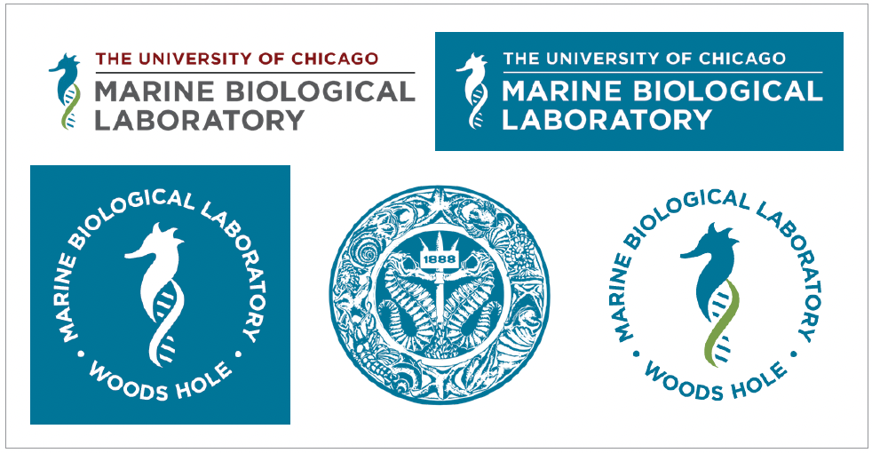 Multiple versions of Marine Biological Lab logos