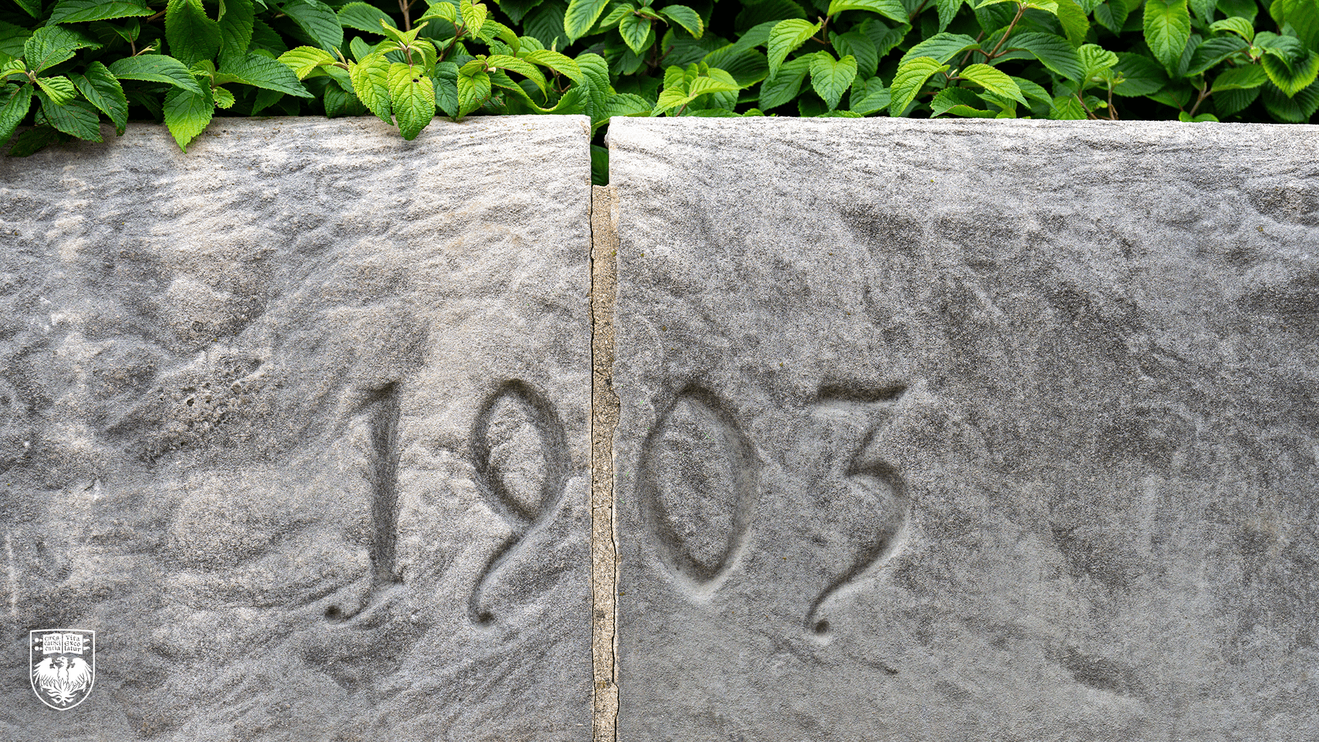 1903 Carved In Stone