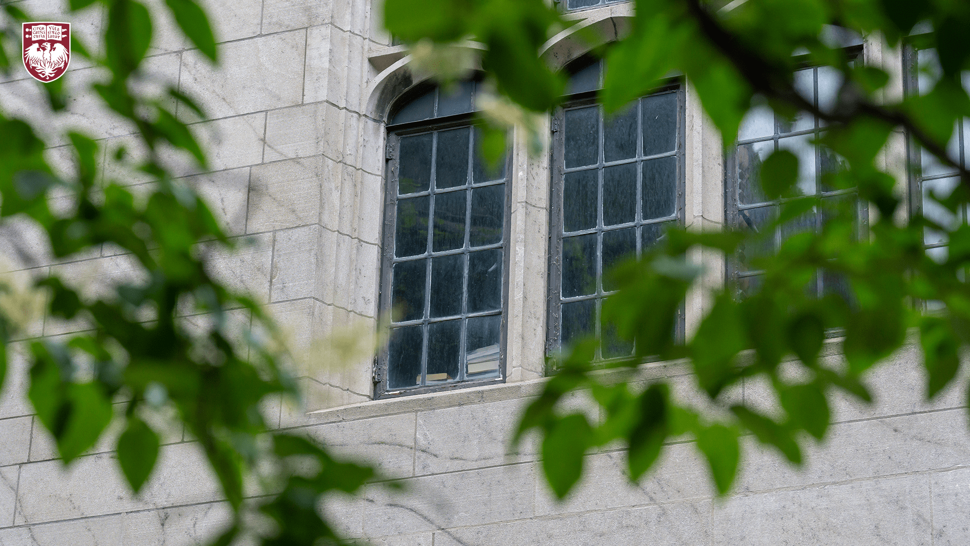 Arched Windows Through Trees
