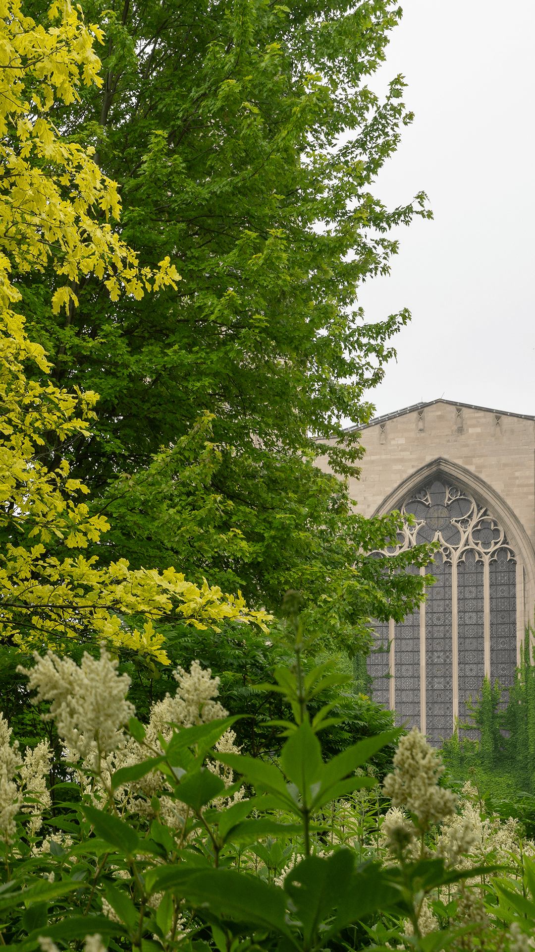 Trees in Front of Rockefeller Chapel Mobile